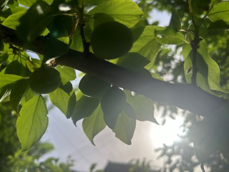 微信图片_20250616162014