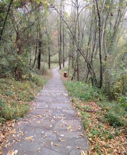 微信图片_20260112095316